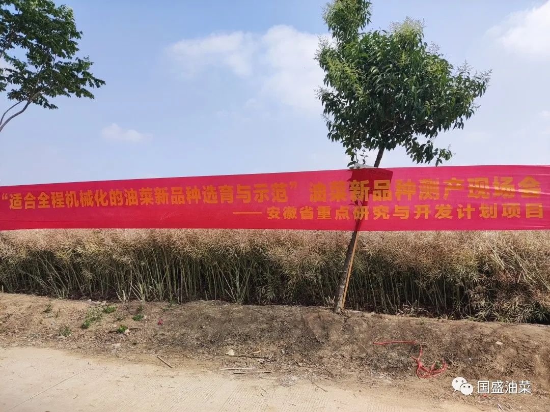 微信图片_20220601141530 微信图片_20220601141530