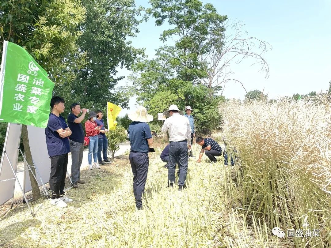 微信图片_20220601141617 微信图片_20220601141617