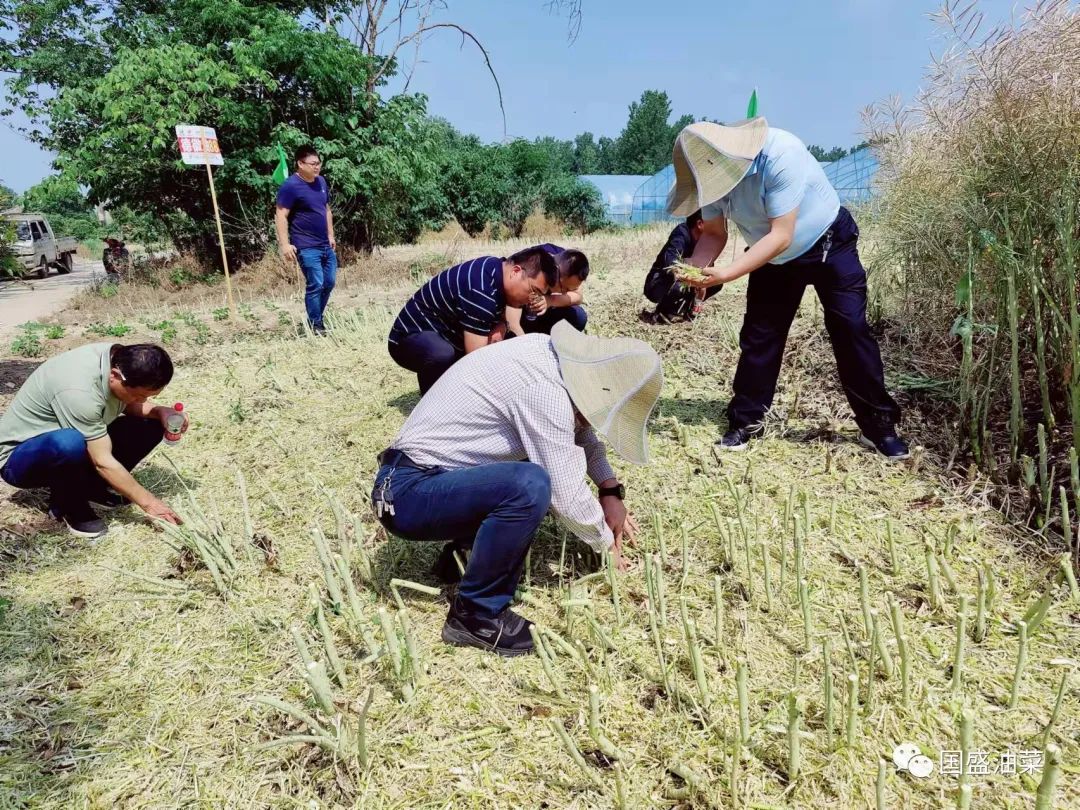 微信图片_20220601141624 微信图片_20220601141624