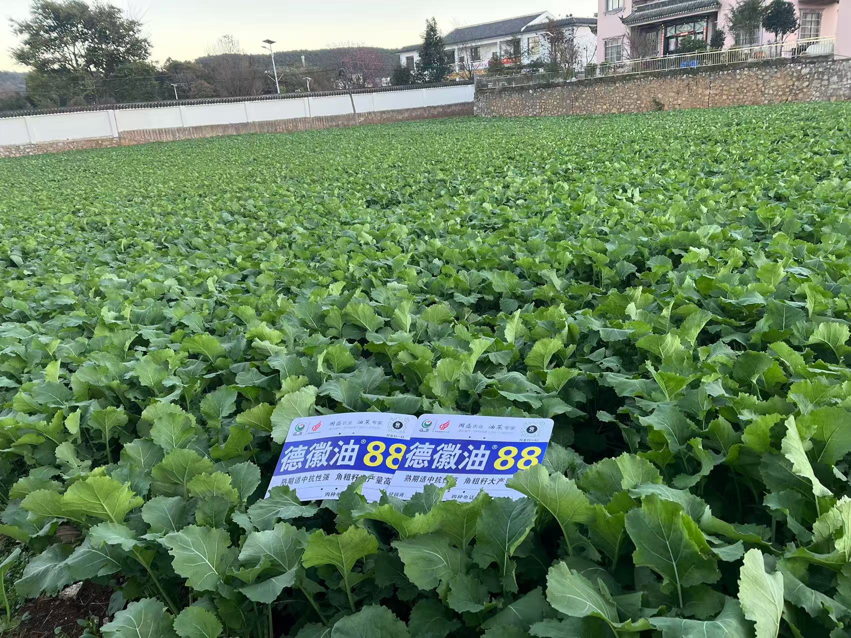 微信图片_20241220145642 微信图片_20241220145642