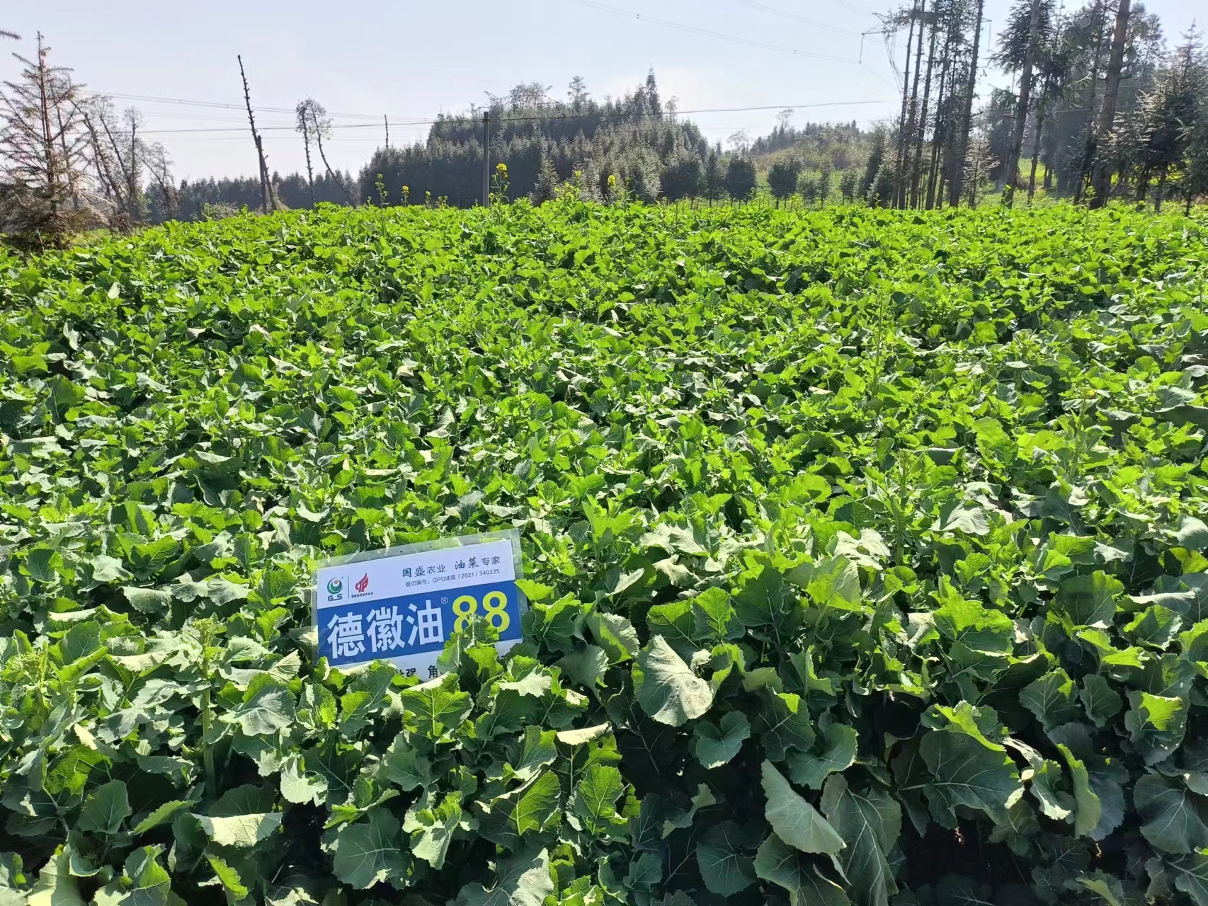 微信图片_20230207093620 微信图片_20230207093620