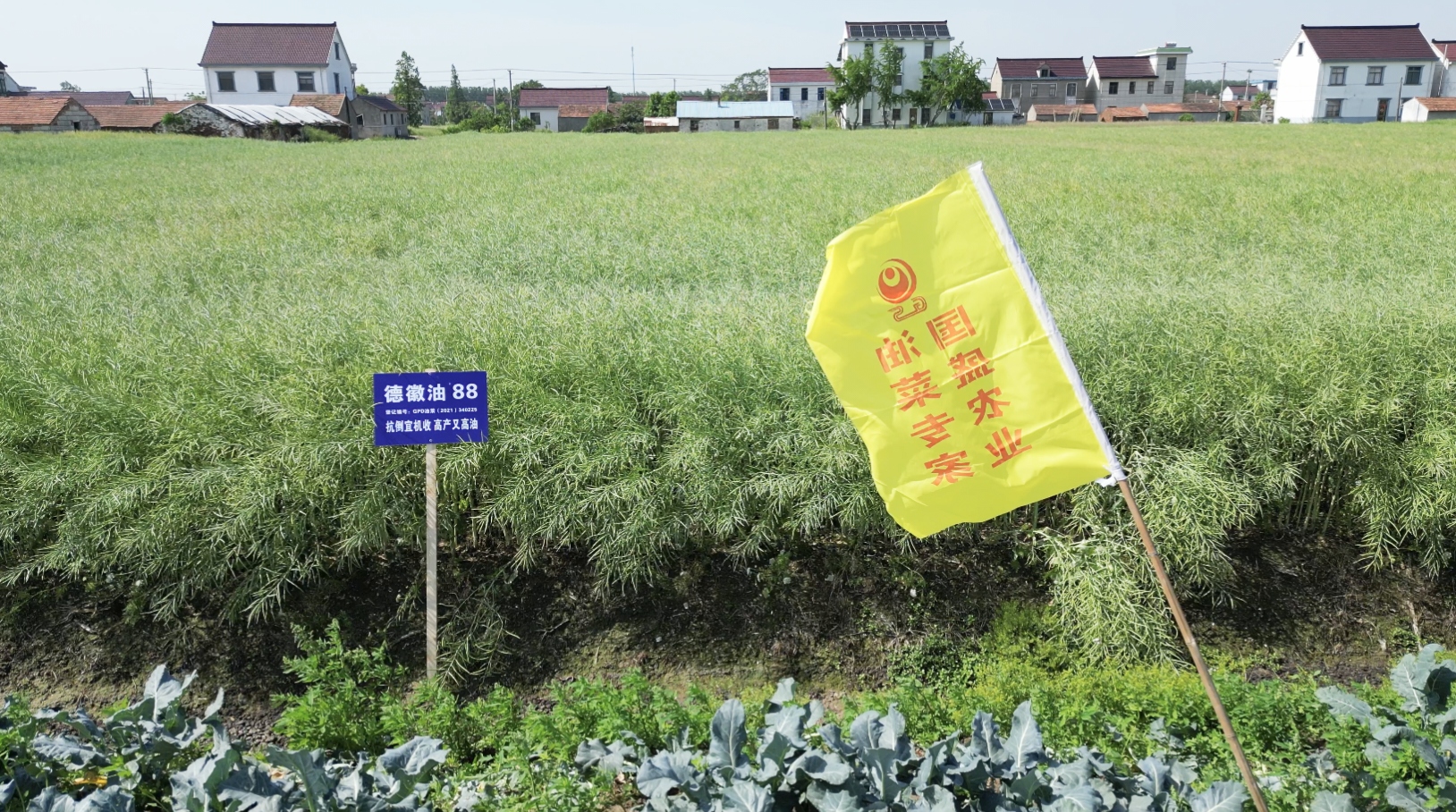 微信图片_20250522095721 微信图片_20250522095721